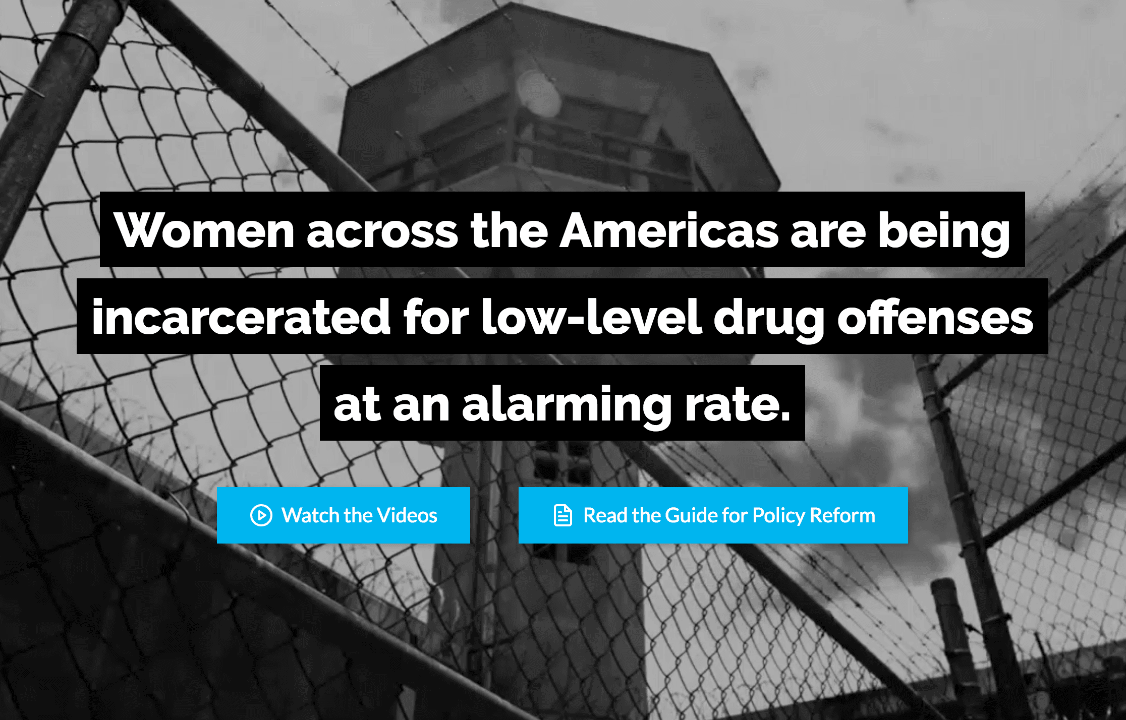 A screenshot of a microsite made for WOLA's women and drug policy program