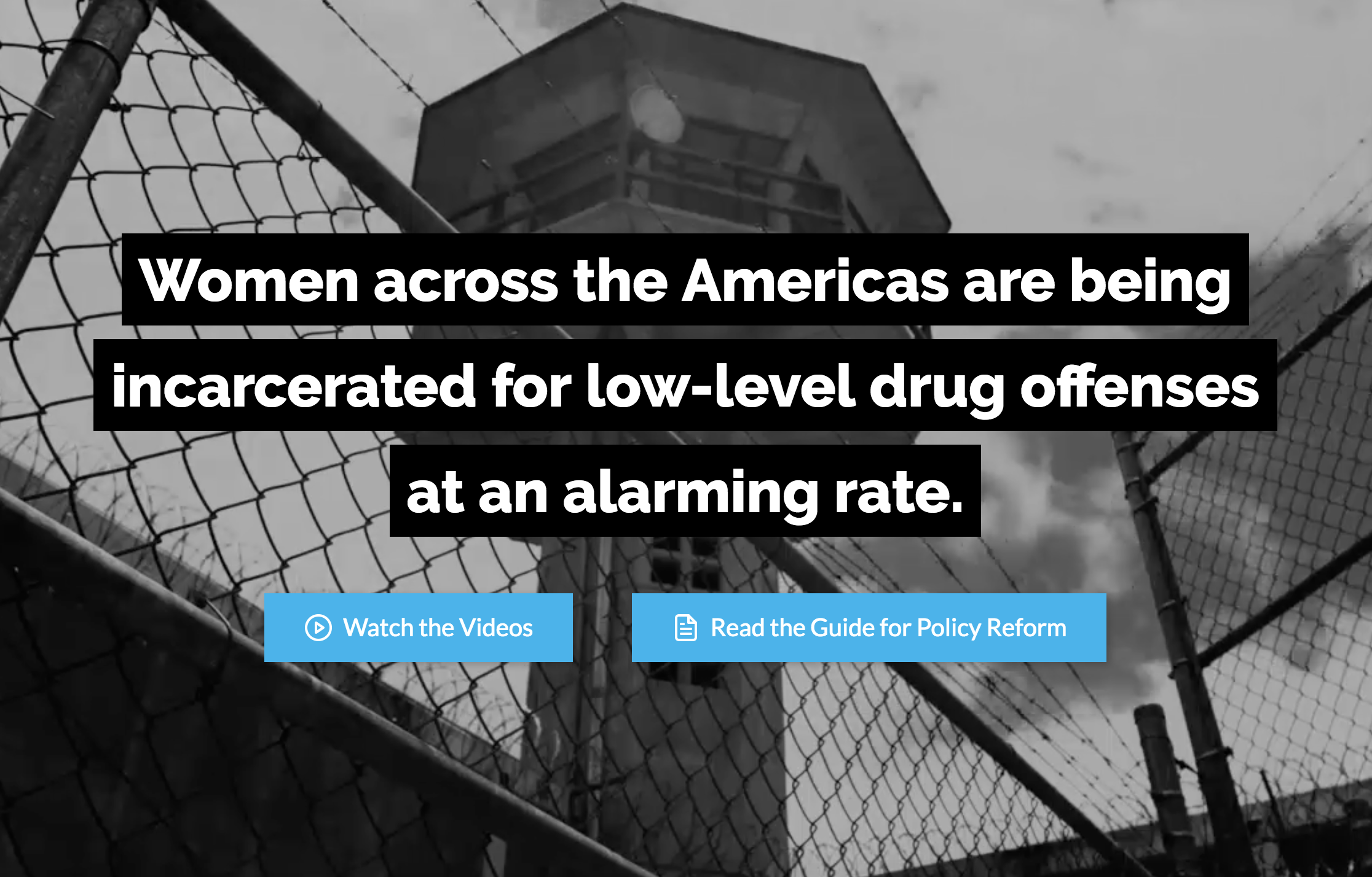 A screenshot of a microsite made for WOLA's women and drug policy program
